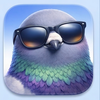 pigeon avatar