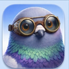 pigeon avatar